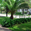 Calle Arbolada